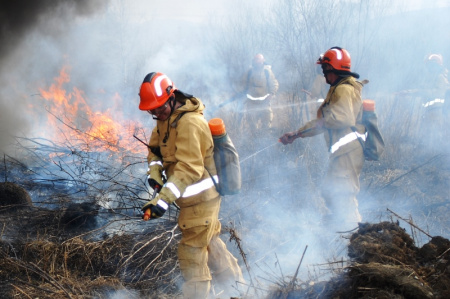  О лесных пожарах в Хабаровском крае