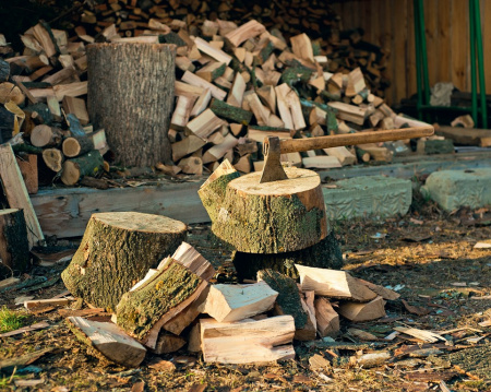 В Рыбинском лесничестве заготовка древесины гражданами находится под жестким контролем