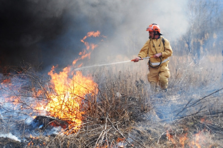На территории Хабаровского края зарегистрировано два лесных пожара