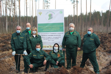 Благоустройство пригородных лесов в Злынковском лесничестве Брянской области