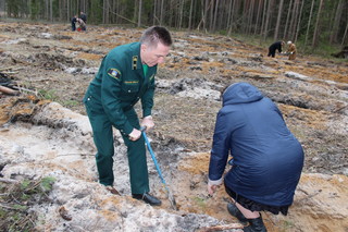 12 апреля на Брянщине созданы лесные культуры памяти Г.Ф. Морозова