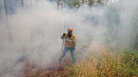 Авиалесоохрана отмечает вспышку грозовых лесных пожаров на Урале и в Сибири