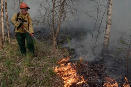 500 лесных пожаров ликвидировано за неделю в регионах России