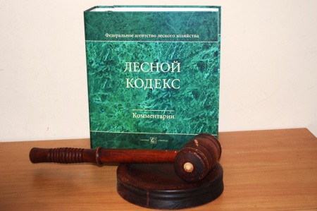В управлении лесами Правительства Хабаровского края состоялся десятый коммерческий аукцион текущего года