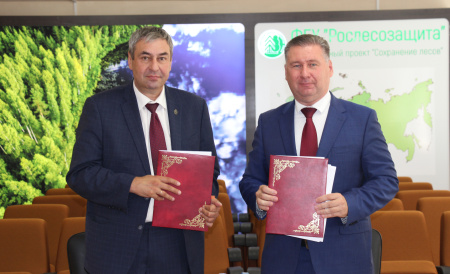 Рослесозащита подписала соглашение о сотрудничестве с одним из старейших лесных вузов России