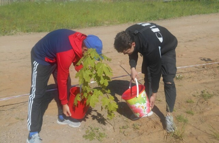 Агротехнический уход за культурами, высаженными в Костромской области в рамках акции «Сад памяти»