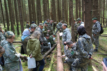 Тренировки для лесопатологов проведет Рослесозащита в апреле-мае