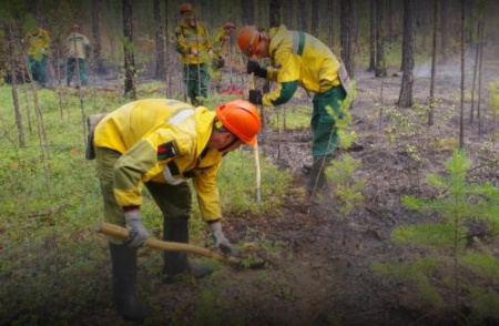 Более 1,3 тыс. человек ликвидируют лесные пожары в Забайкалье и Бурятии