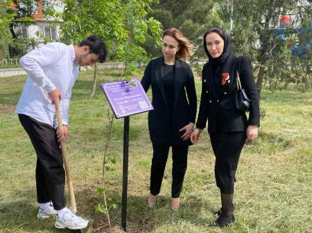 В Каспийске высажено 90 кленов в память о погибших военнослужащих