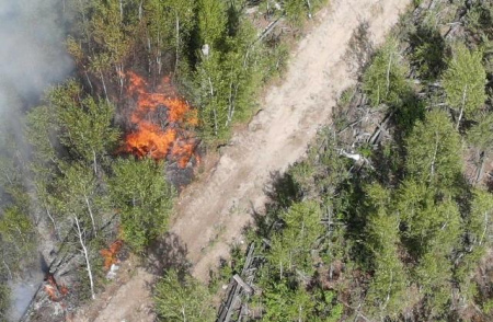 Лесной пожар в Керженском заповеднике ликвидирован