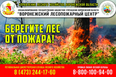 Na regionálních dálnicích v regionu Voroněž se objevily nové nápisy, které volaly po ochraně lesa