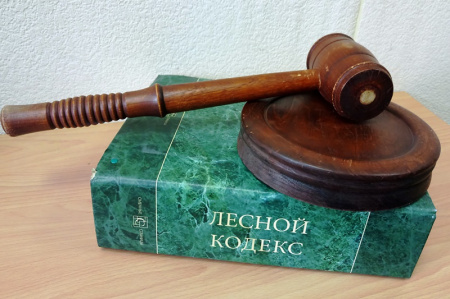 В управлении лесами Правительства Хабаровского края состоялся аукцион 