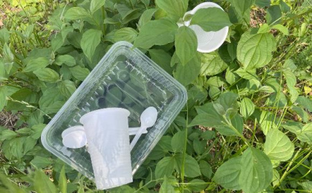 Подмосковный Комлесхоз запустил опрос на Госуслугах об использовании пластиковой посуды 