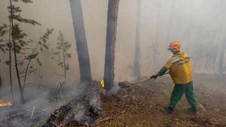 Авиалесоохрана: в Тюменской области остановлен огонь половины всех лесных пожаров
