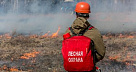 9 лесных пожаров ликвидированы в России за неделю