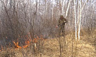 Авиалесоохрана: за неделю ликвидировано 34 лесных пожара в 9 регионах России