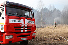На территории Брянской области объявлено о начале пожароопасного сезона в лесах