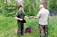 Более четырех тысяч нарушений лесного законодательства выявлено с начала года в Московской области