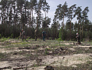 ФБУ «Рослесозащита» продолжает работы по инвентаризации земель, не занятых лесными насаждениями